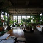A dark loft setting is filled with houseplants and documents are visible on a table in the foreground