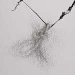 Detail of Graphite on paper drawing of dark, thick lines breaking at a central soft form of linework.