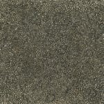Abstract work on paper consisting of small marks covering the entire visual field