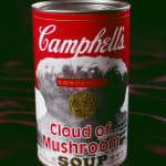 Detail of a “Cloud of Mushroom” soup can