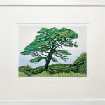 Peter Ursem, Birch Trees