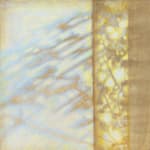 Hannah Davies, Three Mornings in Marhamchurch III