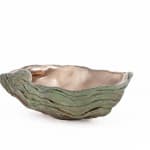 Sara Ross, Small Sea Urchin