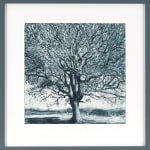 Ley Roberts, That Tree