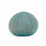 Sara Ross, Spring Vessel
