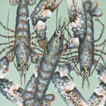 Caroline Cleave, Port Isaac Lobsters
