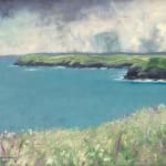 Andrew Barrowman, Cornwall Coastpath in July, St Agnes Head