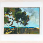 Phil Ward, Puffin Flight III