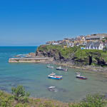 Nick Wapshott, Wipeout