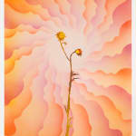Francesca Gabbiani and Eddie Ruscha, The Seeds, 2025