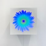 Jen Stark, Spectral Growth, 2018