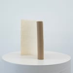 Ry Rocklen, Tan Bouquet, 2013-2014