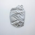 Ry Rocklen, Tan Bouquet, 2013-2014