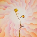 Francesca Gabbiani and Eddie Ruscha, The Seeds, 2025