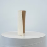Ry Rocklen, Tan Bouquet, 2013-2014