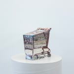Ry Rocklen, Tan Bouquet, 2013-2014
