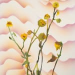 Francesca Gabbiani and Eddie Ruscha, The Seeds, 2025