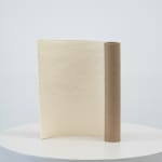 Ry Rocklen, Tan Bouquet, 2013-2014