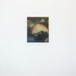 Robert Gunderman, Bud, 2025