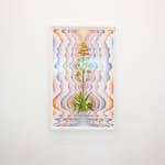 Francesca Gabbiani and Eddie Ruscha, The Seeds, 2025