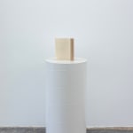 Ry Rocklen, Tan Bouquet, 2013-2014