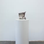 Ry Rocklen, Tan Bouquet, 2013-2014