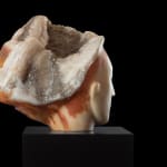 Emily Young, Wind Head (Bronze), 2019