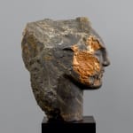 Austin Wright, Watcher, 1983