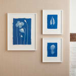Henrietta Molinaro, Large Sri Lankan Fern 1 - Framed , 2025