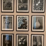 Karl Blossfeldt, Art Forms in Nature, 1929