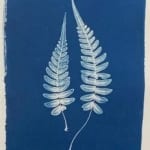 Henrietta Molinaro, Large Sri Lankan Fern 1 - Framed , 2025