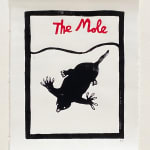 Hugo Guinness classic prints (framed), Y-fronts, 2025