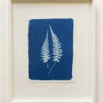 Henrietta Molinaro, Large Sri Lankan Fern 1 - Framed , 2025