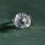Wiwen Nilsson, Ring