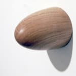 Laura Lancaster, Untitled, 2008