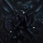 Louise Giovanelli, Atlas, 2019