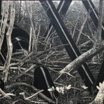 Maryanto, Palm Oil District, 2023