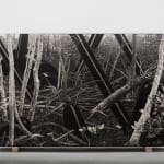 Maryanto, Palm Oil District, 2023