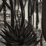 Chok Si Xuan, VINES (Afterlife), 2025