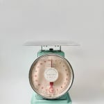 Tisya Wong, Economy of Scales, 2025