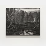 Chok Si Xuan, VINES (Afterlife), 2025