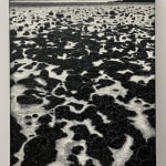 Chok Si Xuan, VINES (Afterlife), 2025