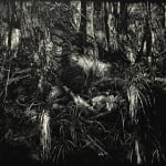 Luke Heng, Sparkle once, Sparkle two times, 2025