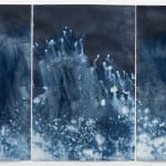 Meghann Riepenhoff, Ice #40 (Triptych, 28-36°F, Magnolia Tree Through Fall, Buried in Snow, WA 01.15-16.20), 2020