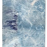 Meghann Riepenhoff, Ecotone #865 (Bainbridge Island, WA 05.01.20, Intermittent Sun Showers), 2020