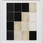 Alison Rossiter, Semblance, Man Ray Tapestry, (Mimosa, Radiotyp, manufactured ca. 1930s, processed 2023), 2025