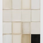 Alison Rossiter, Semblance, Man Ray Tapestry, (Mimosa, Radiotyp, manufactured ca. 1930s, processed 2023), 2025