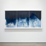 Meghann Riepenhoff, Waters of Oceania: FEMA - 4724 - DR (Ecological Succession Day Twenty - Three, Maui, HI, 09.08.2023), 2023