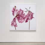 Kathrin Linkersdorff, Floriszenzen 11, 2019