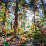Sarah Anne Johnson, Beautiful Day, 2025